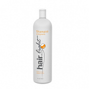������� ��� ������ ����� 1000 ��. Shampoo Antigrasso HL