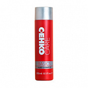 ������� ����������� 250 �� Care Basics Silber Shampoo CEHKO