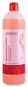 ������� ���������� Pomegranate Shampoo 1000 ��. SALERM