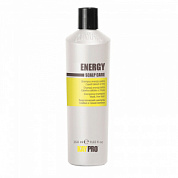 ������� ������ ��������� Energy 350 ��. KAYPRO
