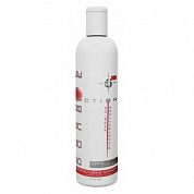 ������� ����������������� ��� �������� ����� 200 �� Shampoo Ricostruttore HAIR COMPANY